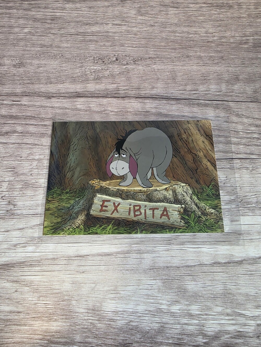 ✨️BUY 3 FOR $22 Eeyore, Winnie The Pooh, 2011 Postcard